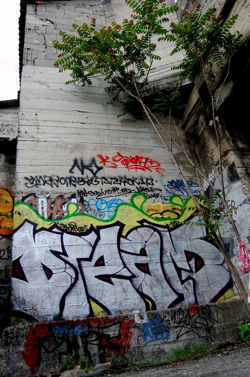 Fresque 21